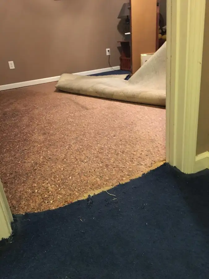 Carpet pad removal revealing water damage during Water Mitigation Services in Nocatee