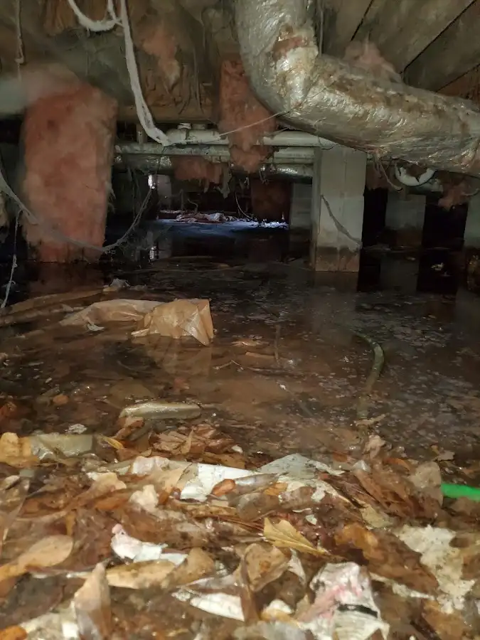 Crawl space flood assessment for Commercial Water Damage Restoration in Nocatee